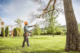 Best Hazardous Tree Removal  in Dasher, GA